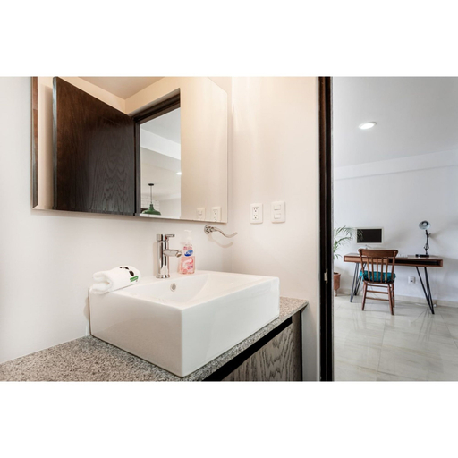 Bathroom sink, Destination Condesa @Alvaro Obregon Views 2, Mexico City