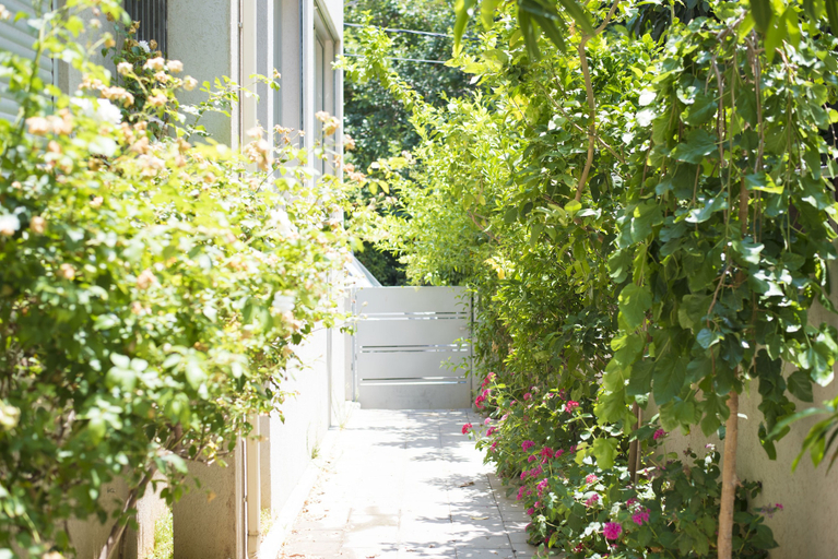 Others 3, Villa in TLV with a BIG YARD and POOL