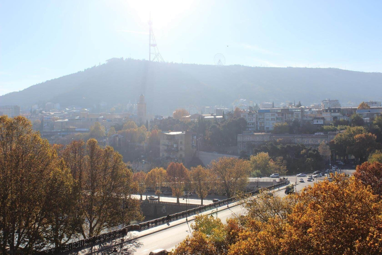 Others 5, Apartment on Marjanishvili Str., Tbilisi