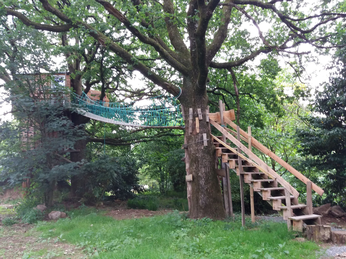 Cabane Dans Les Arbres - Le Nid Dans Le Chêne, Mayenne