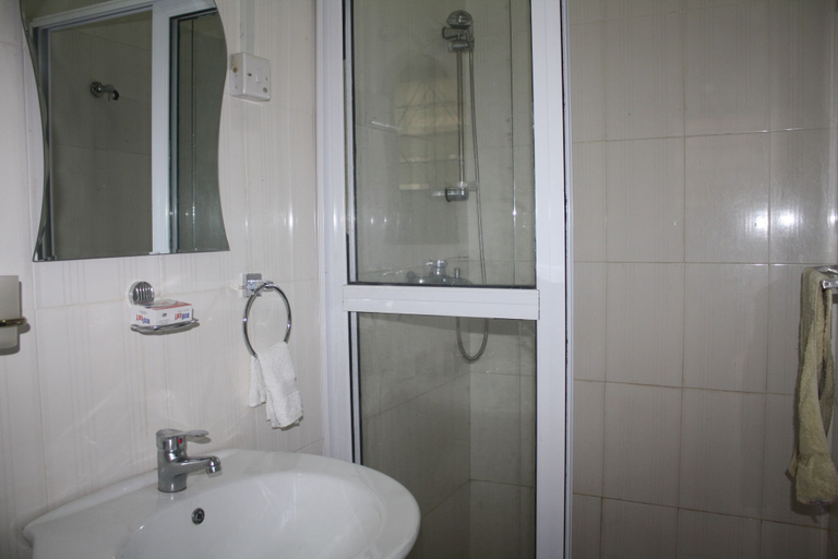 Bathroom 4, Godville Guest House, Tema