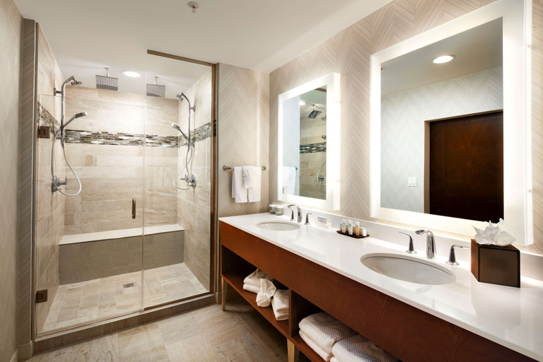 Bathroom 5, Embassy Suites by Hilton Amarillo Downtown, Potter