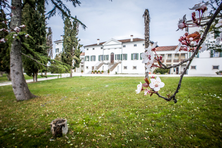 Villa Dragoni, Udine