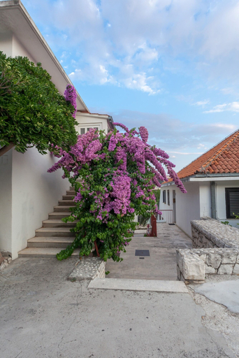 Exterior & Views 2, Guest House Marija in perfect location, Split