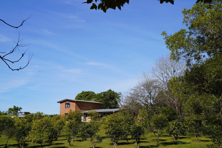 Exterior & Views, McCarthy Grove, Caloundra - Hinterland
