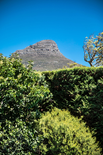 Others 5, 5 Camp Street Guesthouse & Self-catering, City of Cape Town