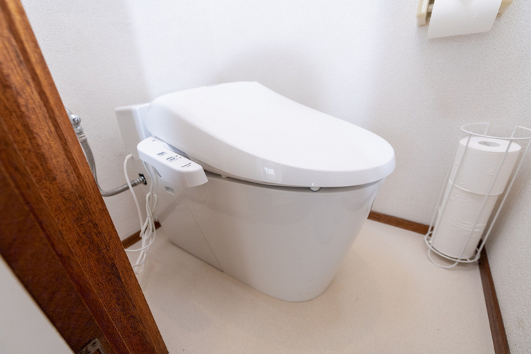 Bathroom 2, Pine Tree, Fujisawa