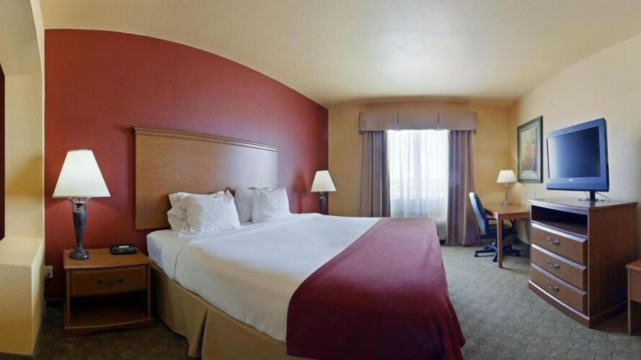 Bedroom 5, Holiday Inn Express & Suites ZAPATA by IHG, Zapata