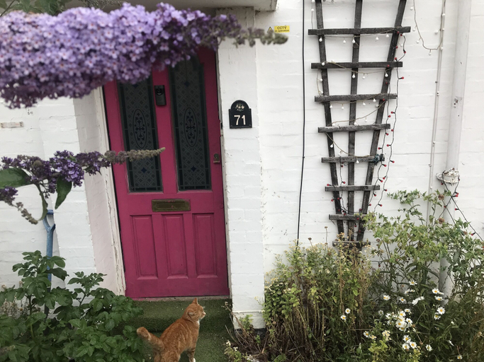 Exterior & Views, Cambridgestay, Cambridgeshire