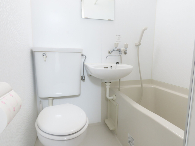 Bathroom 5, Rolands House 301, Nakano City