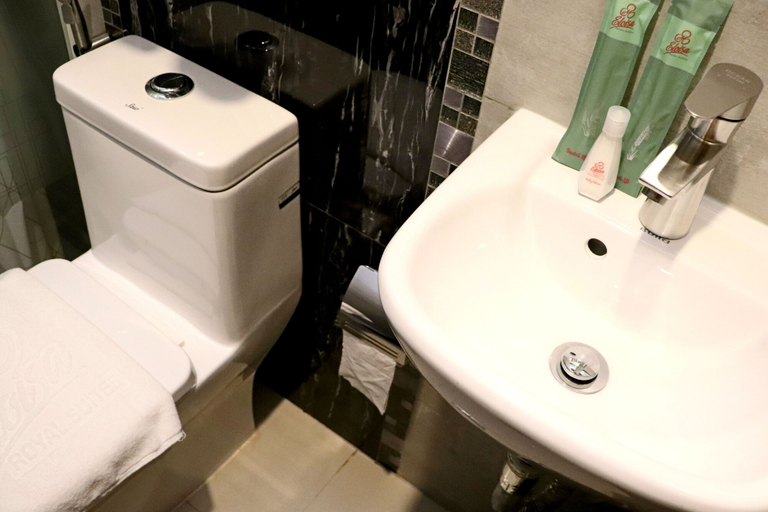 Bathroom 3, Maria Eloisa Royal House, Daanbantayan