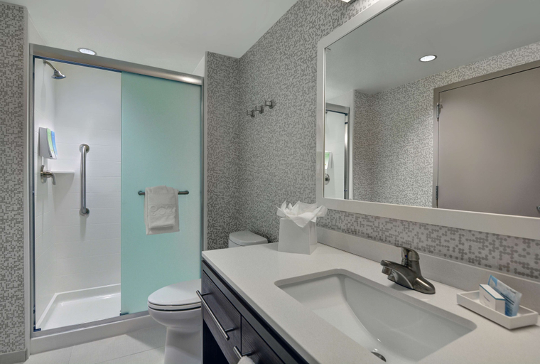 Bathroom 5, Home2 Suites by Hilton Largo, Pinellas