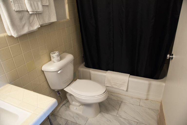 Bathroom 3, American Inn, Chicot
