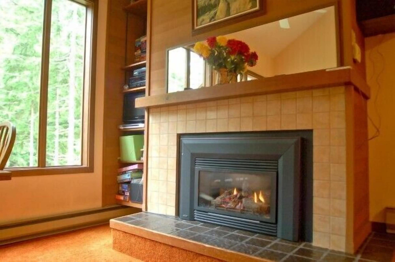Others 5, Mt Baker Lodging Condo 85 - Sleeps 4, Whatcom