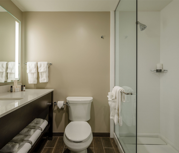 Bathroom 3, Hotel Madison & Shenandoah Conference Ctr, Harrisonburg