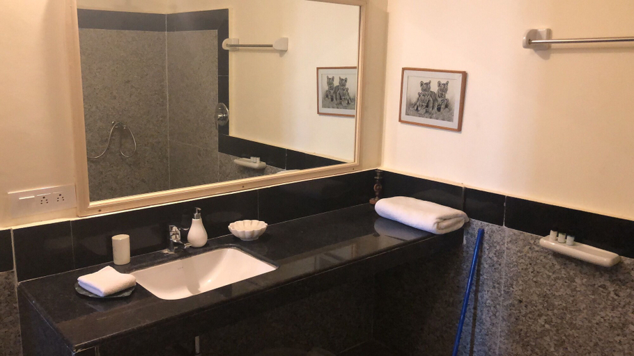 Bathroom 3, Jai Villa Homestay, Udaipur