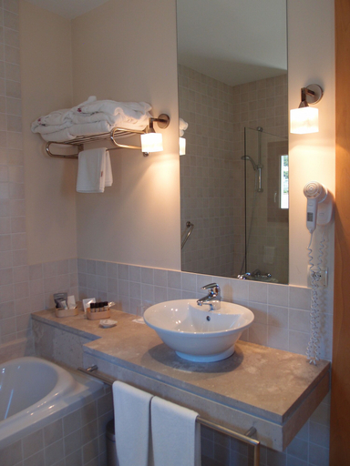 Bathroom 5, Lavida Vino - Spa Hotel, Valladolid