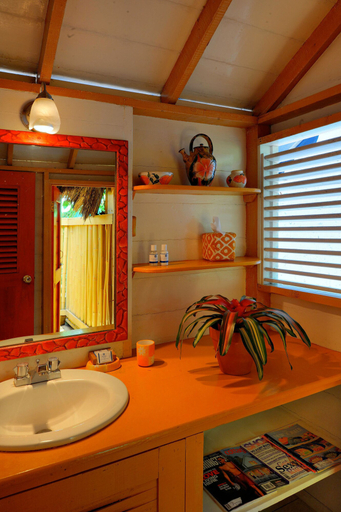 Bathroom 4, The Caves