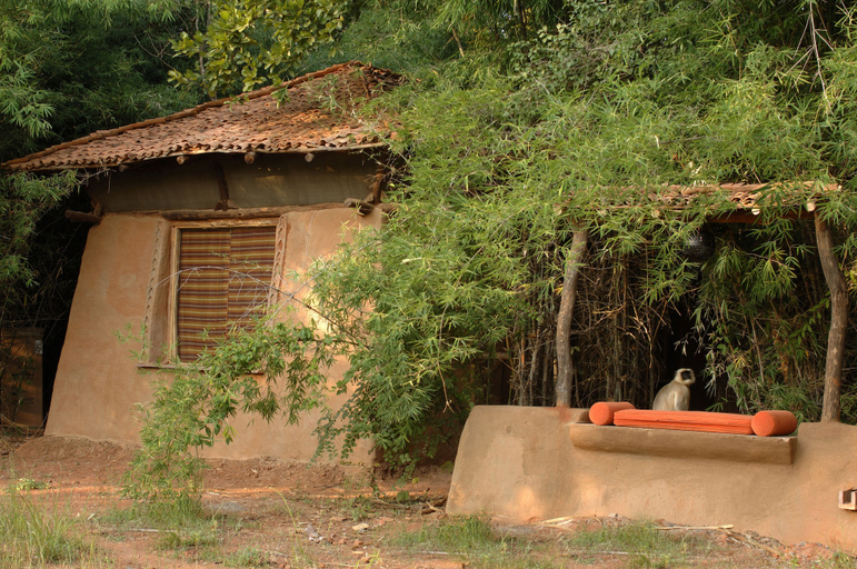 Others 2, Mahua Kothi, Bandhavgarh National Park, Umaria