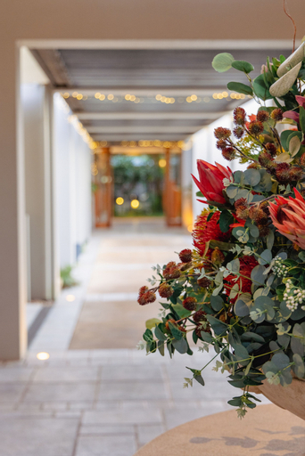 Public Area 5, Noosa Springs Golf Resort & Spa, Noosa - Noosa-Noosaville