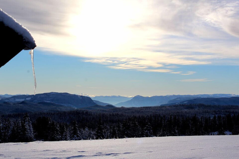 Others 4, Lilleset Cabin - Gol, Gol