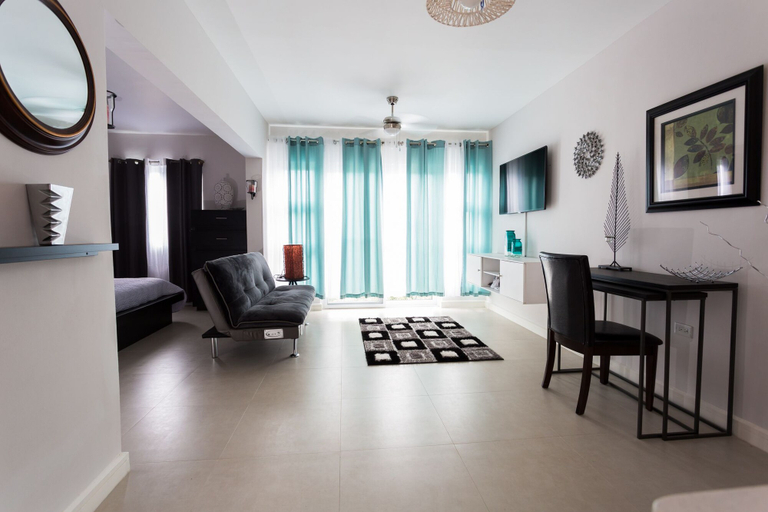 Others 4, Kingston Luxury Guest Apt at Sullivan