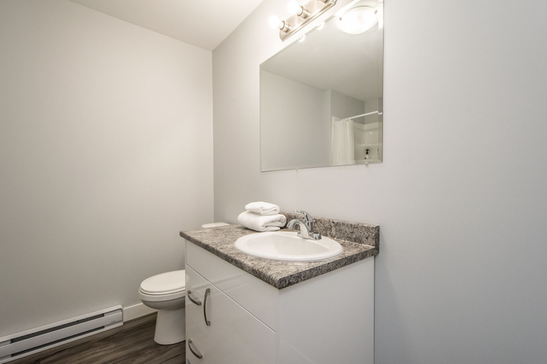 Bathroom 4, Spacious DAL & Downtown Apartments, Halifax