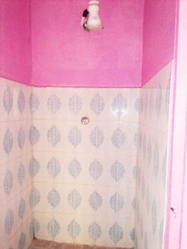 Bathroom, Down Town Guest House, Manyatta
