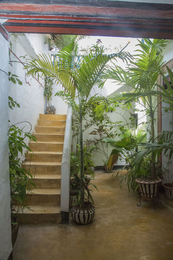 Others 3, Pwani Guest House, Lamu West