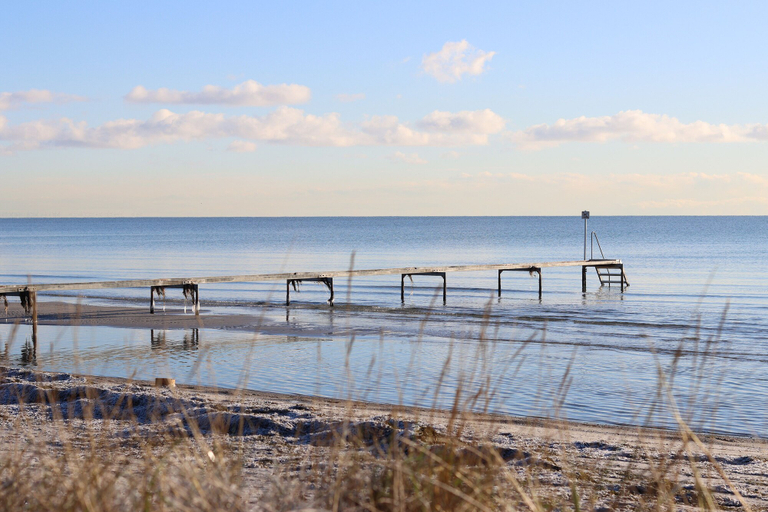 Others 4, Strandmotellet, Greve