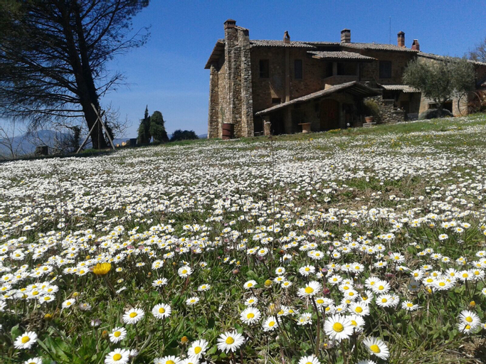 Le Roghete, Viterbo