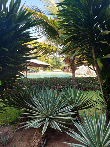 Others 5, Tembo Court Apartment, Malindi