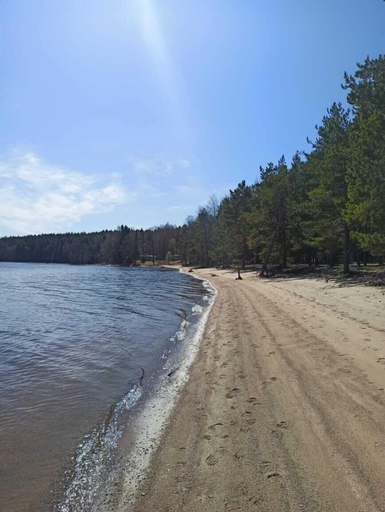 Others 5, Sea Resort, Vyborgskiy rayon