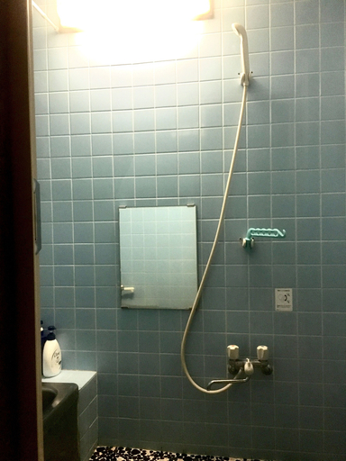 Bathroom 2, Oasis Minamiyukigaya, Setagaya