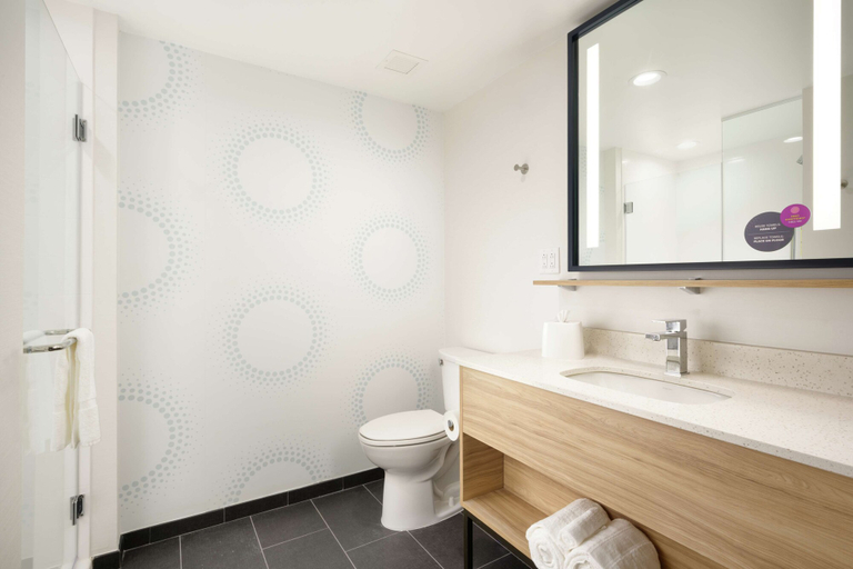 Bathroom 4, Tru By Hilton Chattanooga Hamilton Place, Hamilton