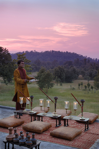 Others 3, Mahua Kothi, Bandhavgarh National Park, Umaria