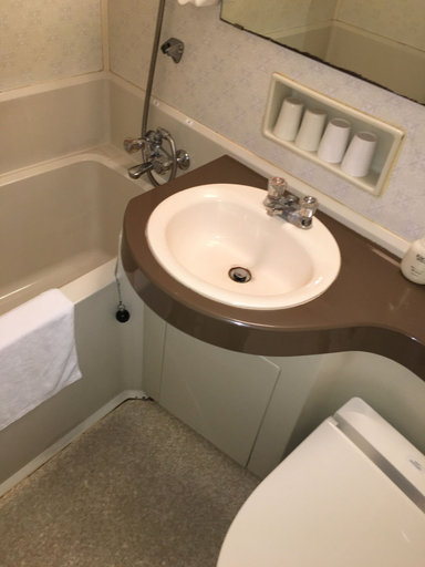 Bathroom 4, Hotel Biwako Plaza, Lake Biwa