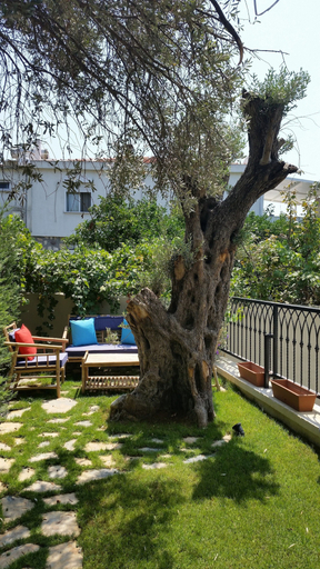 Exterior & Views 2, Cassiopeia Hotel Alacati, Çeşme