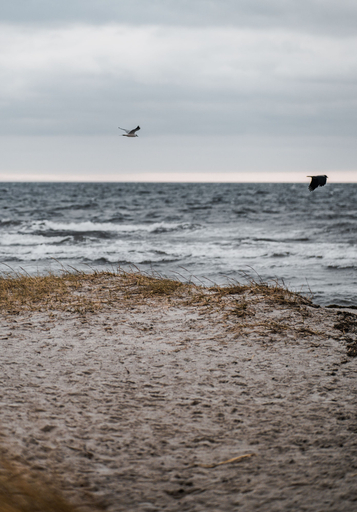 Others 5, Strandmotellet, Greve