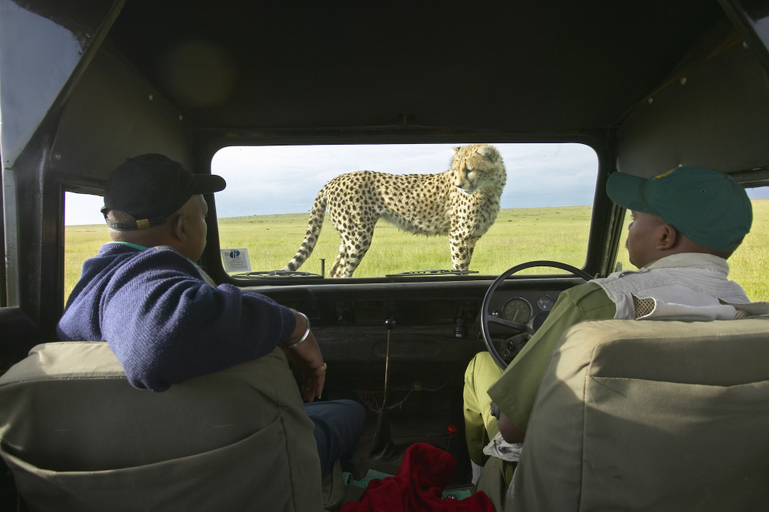 Others 5, Ol Bobongi House, Laikipia North