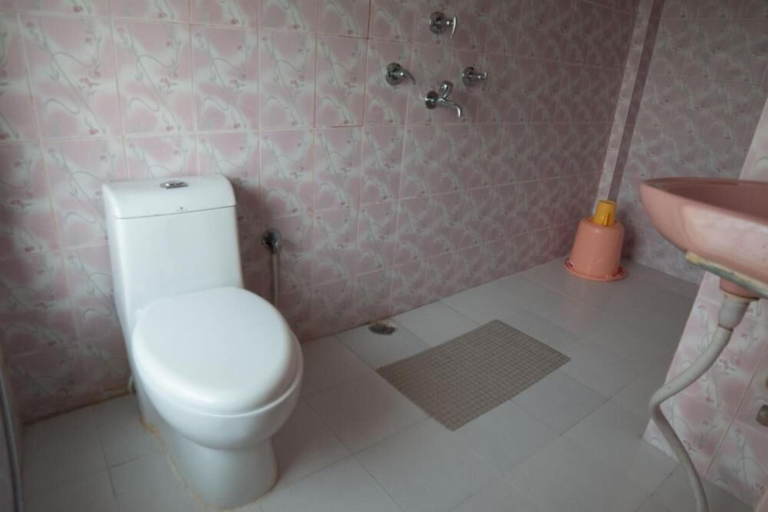 Bathroom, Antu Cottage, Mechi