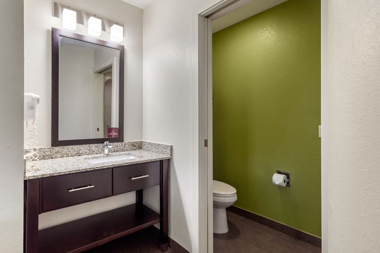 Bathroom 4, Sleep Inn & Suites Allendale, Ottawa