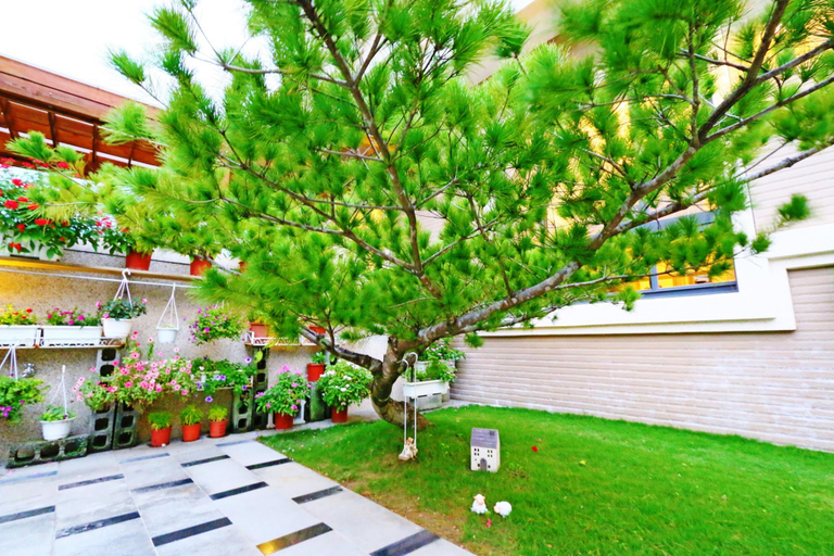 Others 5, Creekside No.22 Bed and Breakfast, Hualien