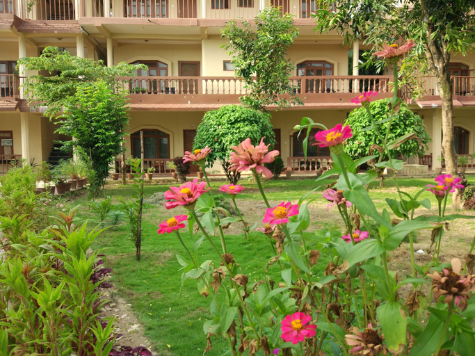 Exterior & Views 2, Jungle Wildlife Camp, Narayani