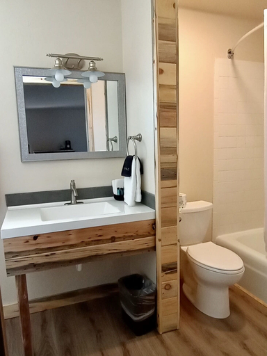 Bathroom 4, Horseshoe Bend Motel, Big Horn
