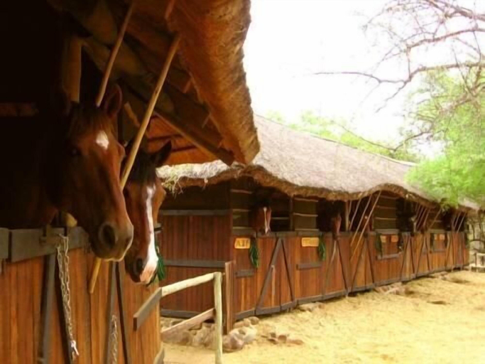 Others 4, Offbeat Safaris, Mopani