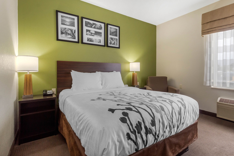 Bedroom 3, Sleep Inn & Suites Allendale, Ottawa