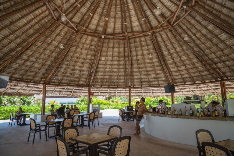 Food & Drinks, TROPICAL Beachfront 1 BDR, Isla Mujeres