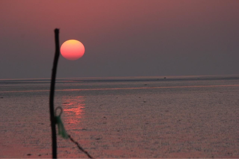 Others 3, Hiriz Seabreeze Resort, Kachchh