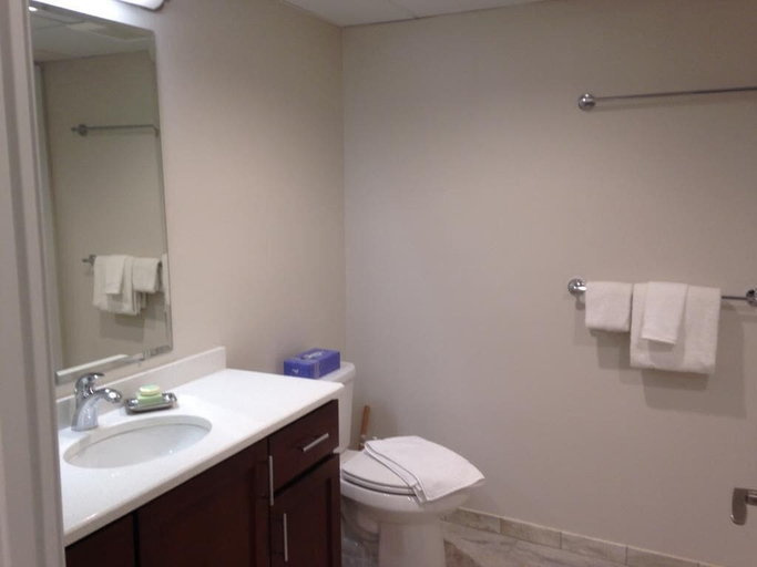 Bathroom 2, National at Virginia Square, Arlington